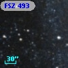 FSZ 493