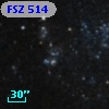 FSZ 514