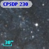 CPSDP 230