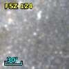 FSZ 124