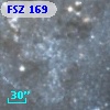 FSZ 169