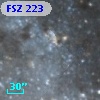 FSZ 223