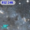 FSZ 248