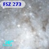 FSZ 273