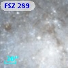 FSZ 289