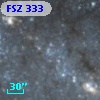 FSZ 333
