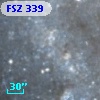FSZ 339