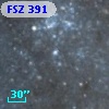FSZ 391