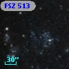 FSZ 513
