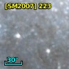 [SM2007] 223