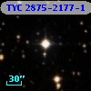 TYC 2875-2177-1