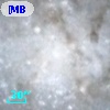 LGGS J013350.92+303936.9