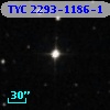 TYC 2293-1186-1