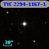 TYC 2294-1167-1