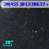 2MASS J01330637+3037353