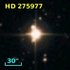 HD 275977