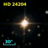 HD  24204