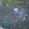 D33 J013335.0+303336.5