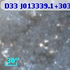 D33 J013339.1+303713.3