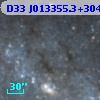 D33 J013355.3+304638.6