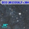 D33 J013356.7+304838.6