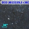 D33 J013339.1+302944.1