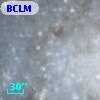 BCLMP   82