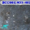 [BCS2001] M33-485