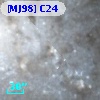 [MJ98] C24
