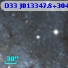 D33 J013347.8+304627.4