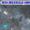 D33 J013351.1+304516.0