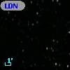 LDN 1441