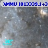 XMMU J013339.1+304051