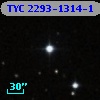 TYC 2293-1314-1