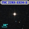 TYC 2293-1324-1