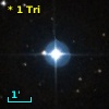 *   1 Tri