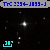 TYC 2294-1099-1