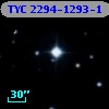 TYC 2294-1293-1