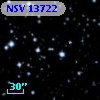 NSV 13722