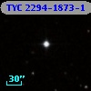 TYC 2294-1873-1
