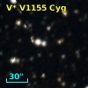 V* V1155 Cyg