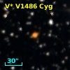 V* V1486 Cyg