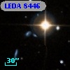 LEDA    8446