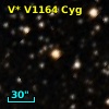 V* V1164 Cyg
