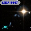 LEDA    8447