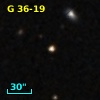 G  36-19