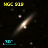 NGC   919