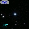 TYC 1771-1093-1