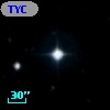 TYC 1774-317-1