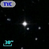 TYC 1775-1299-1